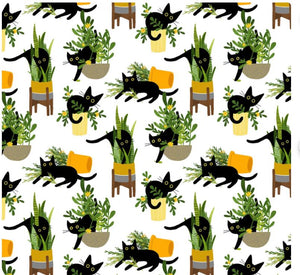 Feline Fancy Just Purrlanted
