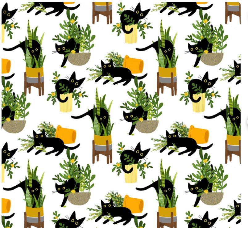 Feline Fancy Just Purrlanted