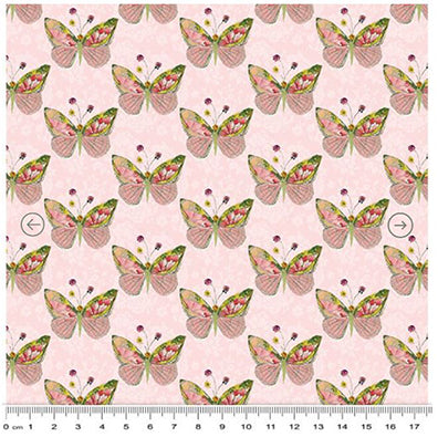 Soul Shine and Daydreams Butterflies Coral